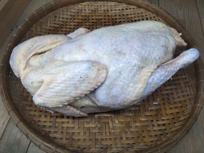 Gà Ta Bến Tre Thả Vườn - Gà Mái
